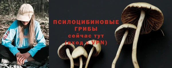 MDMA Белокуриха