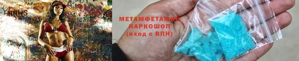 прущие грибы Беломорск