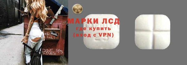 прущие грибы Беломорск