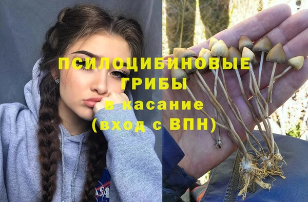 MDMA Белокуриха