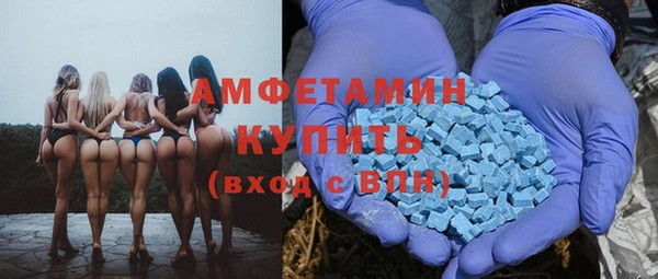 прущие грибы Беломорск